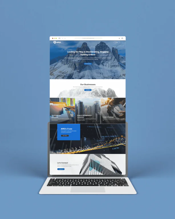 APEX portfolio image 1