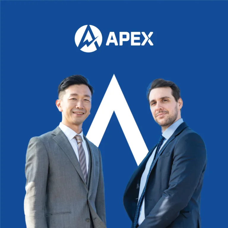 APEX portfolio image 5