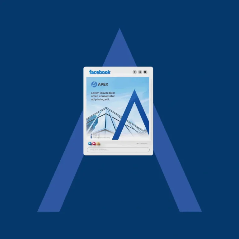 APEX portfolio image 6