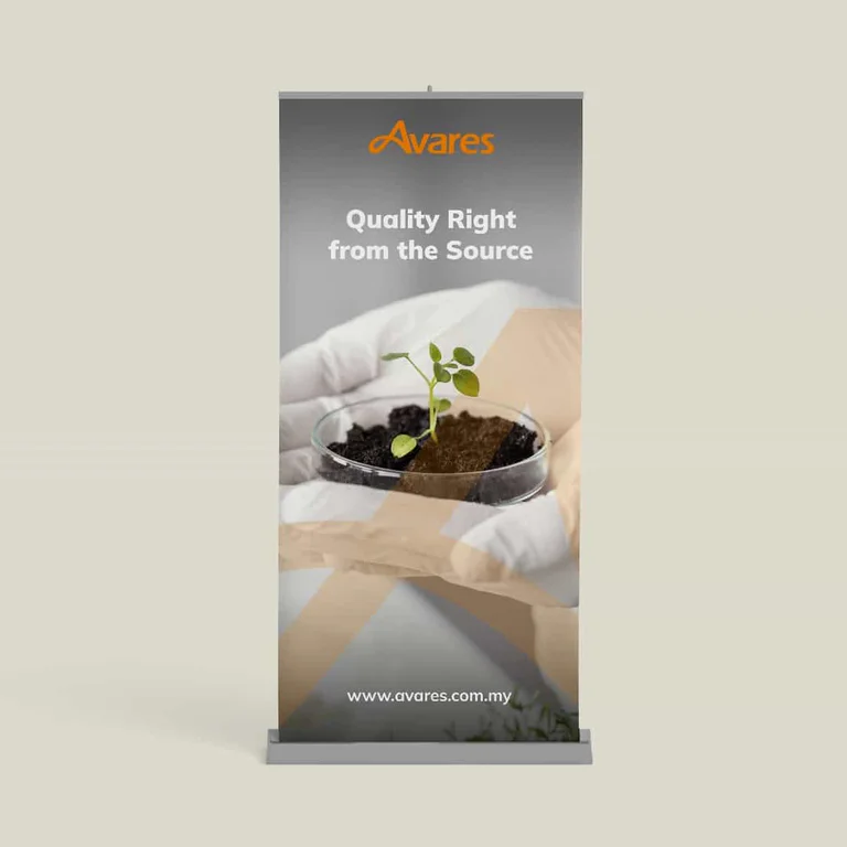 Avares portfolio image 2