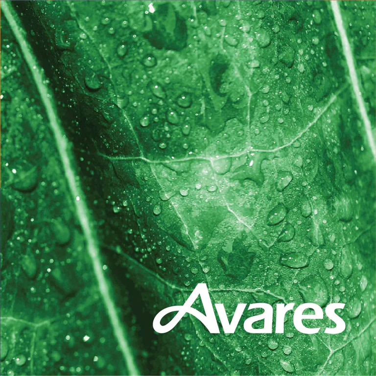 Avares website portfolio image 5