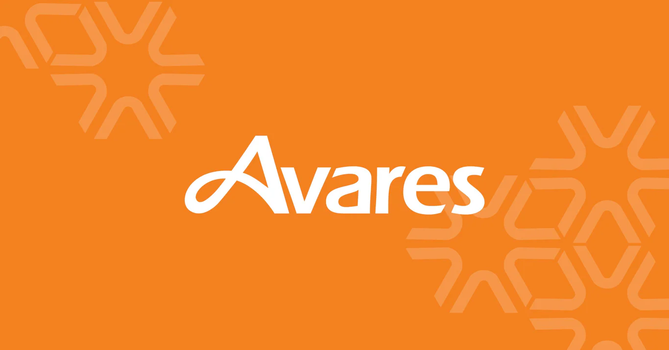 Avares website portfolio image 7