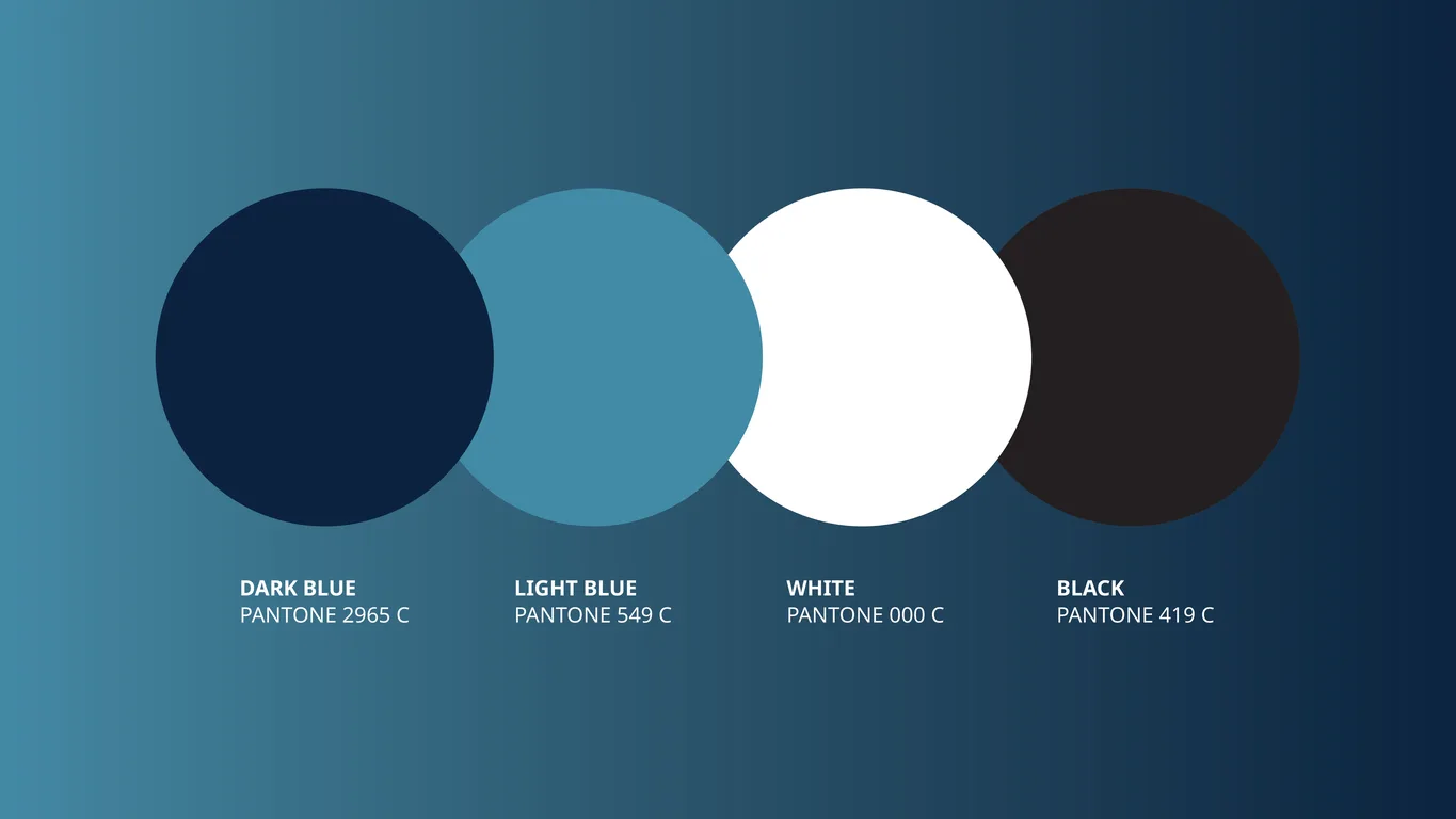 MyCEB colour palette of four Pantone swatches: dark blue, light blue, white and black