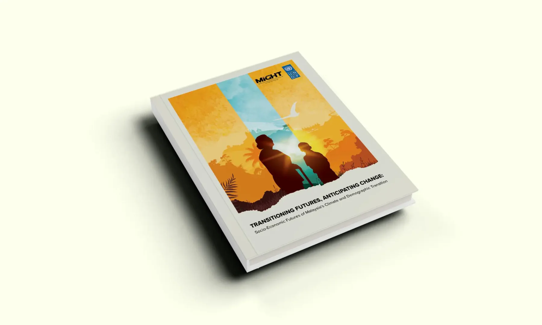 United Nations Development Programme (UNDP)