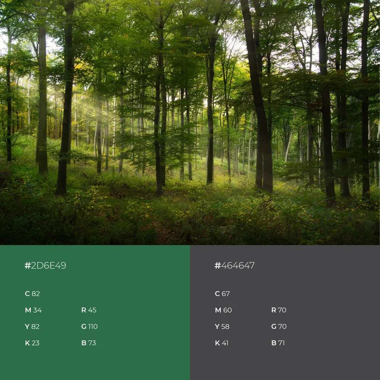 KBS portfolio image 3