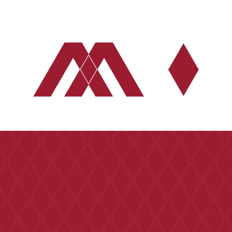 Magma Group portfolio image 7