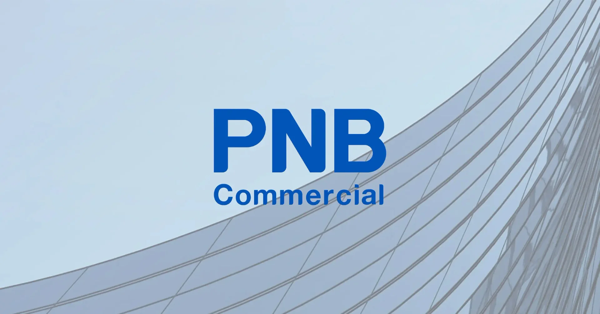 PNB Commercial – Corporate Website
